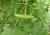 Img.VTax1444.Ex1.Img1