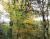 Img.VTax1444.Ex1.Img4
