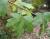 Img.VTax1444.Ex1.Img5