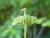 Img.VTax1444.Ex1.Img6