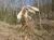 Img.VTax1451.Ex1.Img1