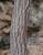 Img.VTax1452.Ex1.Img2
