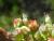 Img.VTax1456.Ex3.Img1