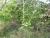 Img.VTax1461.Ex1.Img1