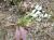 Img.VTax1461.Ex1.Img2