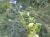 Img.VTax1461.Ex1.Img4