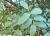 Img.VTax1471.Ex3.Img1