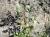 Img.VTax1471.Ex3.Img4