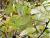 Img.VTax1471.Ex3.Img7