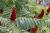 Img.VTax1474.Ex2.Img1