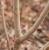 Img.VTax1474.Ex3.Img3