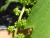 Img.VTax1487.Ex1.Img1
