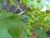 Img.VTax1487.Ex1.Img2
