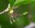 Img.VTax1492.Ex1.Img1