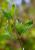 Img.VTax1492.Ex1.Img3
