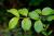 Img.VTax1492.Ex2.Img1