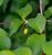 Img.VTax1492.Ex2.Img3