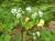 Img.VTax1500.Ex2.Img1