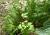 Img.VTax1500.Ex2.Img2