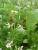 Img.VTax1509.Ex2.Img2