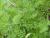 Img.VTax1509.Ex2.Img3