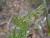 Img.VTax1509.Ex2.Img4