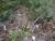 Img.VTax1509.Ex2.Img5