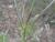 Img.VTax1509.Ex2.Img6