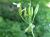 Img.VTax1516.Ex2.Img2