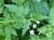 Img.VTax1516.Ex2.Img3
