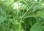 Img.VTax1516.Ex2.Img5
