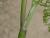 Img.VTax1518.Ex1.Img1