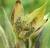Img.VTax1570.Ex2.Img1