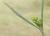 Img.VTax1572.Ex1.Img3