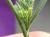 Img.VTax1572.Ex1.Img4