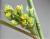 Img.VTax1572.Ex1.Img5