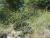 Img.VTax1602.Ex2.Img1
