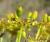 Img.VTax1602.Ex2.Img3