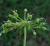 Img.VTax1604.Ex1.Img1