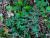 Img.VTax1604.Ex1.Img3