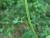 Img.VTax1604.Ex1.Img4