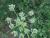 Img.VTax1604.Ex1.Img5