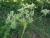 Img.VTax1604.Ex1.Img6
