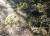 Img.VTax1604.Ex2.Img1