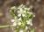 Img.VTax1604.Ex2.Img4