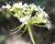Img.VTax1604.Ex2.Img5