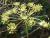 Img.VTax1604.Ex2.Img6