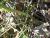 Img.VTax1604.Ex2.Img8