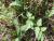 Img.VTax1604.Ex2.Img9