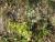 Img.VTax1604.Ex3.Img1